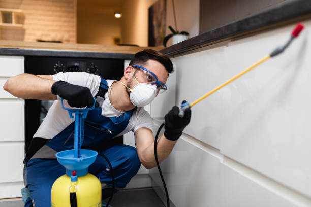Best Bed Bug Extermination  in Red Lion, PA